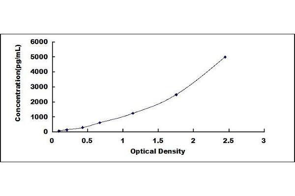 HAVCR1 ELISA Kit