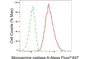 Flow cytometric analysis of Monoamine oxidase A expression in C2C12 cells using Monoamine oxidase A antibody (ABIN7799483), 1:2,000). (Recombinant Monoamine Oxidase A antibody)
