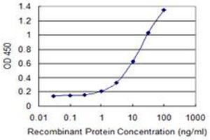 Detection limit for recombinant GST tagged ARPC4 is 0. (ARPC4 antibody  (AA 1-110))