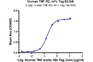 ELISA image for Tumor Necrosis Factor Receptor Superfamily, Member 1B (TNFRSF1B) (AA 23-257) protein (mFc Tag) (ABIN7275765)