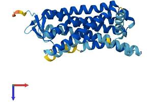 AlphaFold protein structure predicition of Human Recombinant OR5M9 Protein, UniprotID Q8NGP3 (OR5M9 Protein (AA 1-310) (His tag))