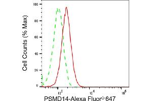 anti-Proteasome (Prosome, Macropain) 26S Subunit, Non-ATPase, 14 (PSMD14) antibody