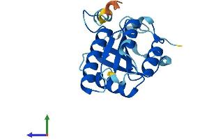 AlphaFold protein structure predicition of Mouse Recombinant Cenpm Protein, UniprotID Q9CQA0 (CENPM Protein (AA 1-180) (His tag))
