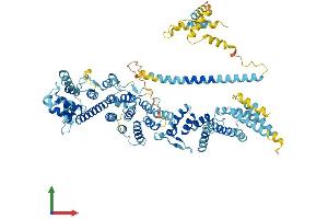 AlphaFold protein structure predicition of Human Recombinant NUP93 Protein, UniprotID Q8N1F7