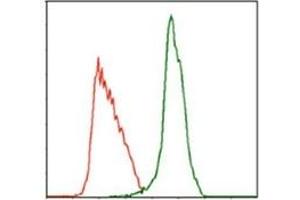 Flow Cytometry (FACS) image for anti-Myeloproliferative Leukemia Virus Oncogene (MPL) antibody (ABIN1105749) (MPL antibody)