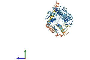 Protein Structure (PS) image for Zinc Finger Protein 383 (ZNF383) (AA 1-475) protein (His tag) (ABIN7545547)