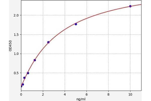 PDE1C ELISA Kit