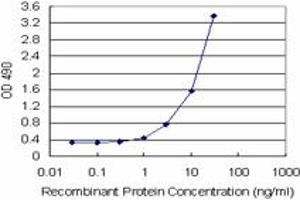 Sandwich ELISA detection sensitivity ranging from 0.