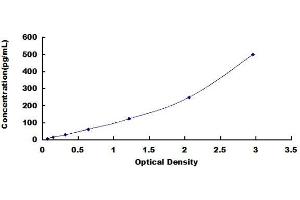 Typical standard curve (Oncostatin M ELISA Kit)
