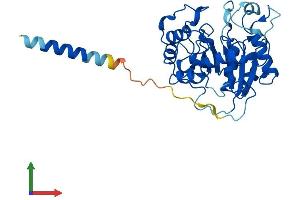 AlphaFold protein structure predicition of Mouse Recombinant St3gal6 Protein, UniprotID Q8VIB3