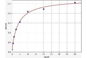 Typical standard curve (COL2A1 ELISA Kit)