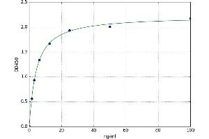 GATA Binding Protein 4 (GATA4) ELISA Kit