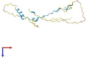 Dysbindin (Dystrobrevin Binding Protein 1) Domain Containing 1 (DBNDD1) (AA 1-158) protein (His tag)
