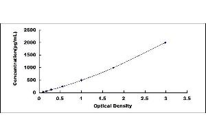 Typical standard curve (Kallikrein 6 ELISA Kit)