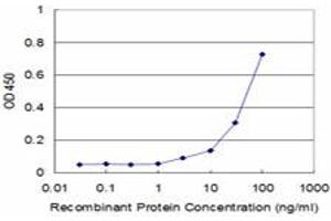 Detection limit for recombinant GST tagged RHEB is approximately 3ng/ml as a capture antibody. (RHEB antibody  (AA 1-184))