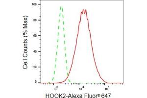 Flow cytometric analysis of HOOK2 expression in HepG2 cells using HOOK2 antibody (ABIN7798999), 1:2,000). (Recombinant HOOK2 antibody)