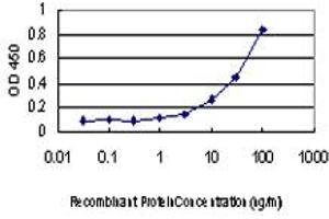 Detection limit for recombinant GST tagged MTOR is approximately 3ng/ml as a capture antibody. (MTOR antibody  (AA 1521-1620))