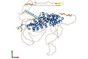 AlphaFold protein structure predicition of Human Recombinant CTNND1 Protein, UniprotID O60716 (CTNND1 Protein (AA 1-968) (His tag))