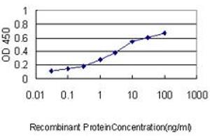 Detection limit for recombinant GST tagged RLBP1 is approximately 0. (RLBP1 antibody  (AA 1-317))