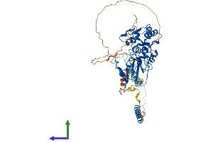 AlphaFold protein structure predicition of Human Recombinant FUT4 Protein, UniprotID P22083