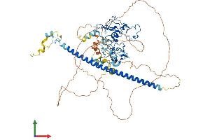 AlphaFold protein structure predicition of Human Recombinant UNKL Protein, UniprotID Q9H9P5 (UNKL Protein (AA 1-680) (His tag))