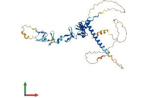 Protein Structure (PS) image for LIM Homeobox Transcription Factor 1, alpha (LMX1A) (AA 1-382) protein (His tag) (ABIN7561650)