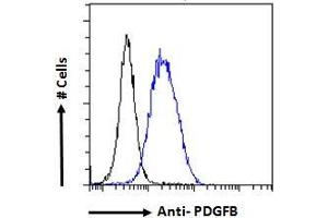 ABIN6391413 Flow cytometric analysis of paraformaldehyde fixed HeLa cells (blue line), permeabilized with 0. (PDGFB antibody  (C-Term))