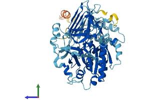 AlphaFold protein structure predicition of Human Recombinant UGP2 Protein, UniprotID Q16851