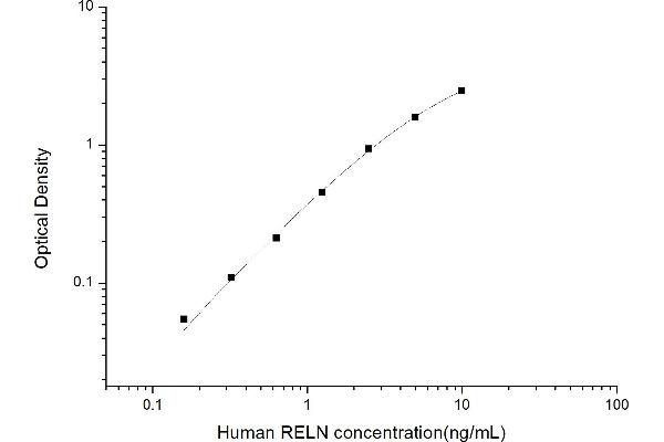 Reelin ELISA Kit