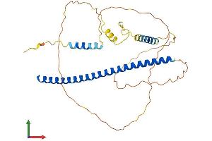 AlphaFold protein structure predicition of Mouse Recombinant Pawr Protein, UniprotID Q925B0