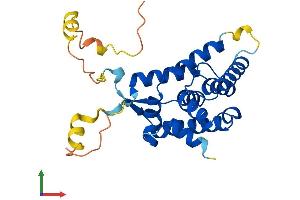 Protein Structure (PS) image for Nuclear Receptor Subfamily 0, Group B, Member 2 (NR0B2) (AA 1-257) protein (His tag) (ABIN7549923)