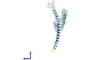 AlphaFold protein structure predicition of Mouse Recombinant Ccdc43 Protein, UniprotID Q9CR29 (CCDC43 Protein (AA 1-222) (His tag))