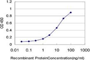 Detection limit for recombinant GST tagged HOXA5 is approximately 0. (HOXA5 antibody  (AA 171-270))