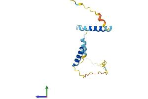 AlphaFold protein structure predicition of Human Recombinant RGCC Protein, UniprotID Q9H4X1