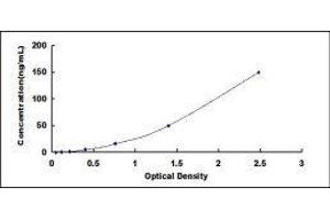 ELISA image for Apolipoprotein A-I (APOA1) ELISA Kit (ABIN416123)