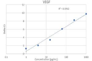 ELISA image for Vascular Endothelial Growth Factor (VEGF) IQ-ELISA Kit (ABIN5680029)
