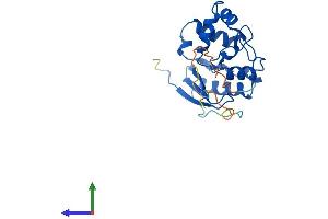 AlphaFold protein structure predicition of Human Recombinant MGMT Protein, UniprotID P16455 (MGMT Protein (AA 1-207) (His tag))