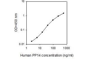 ELISA image for Progestagen-Associated Endometrial Protein (PAEP) ELISA Kit (ABIN4884220) (PAEP ELISA Kit)