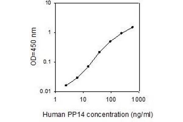 PAEP ELISA Kit