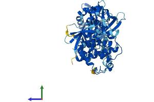 AlphaFold protein structure predicition of Mouse Recombinant Oasl2 Protein, UniprotID Q9Z2F2 (OASL2 Protein (AA 1-508) (His tag))