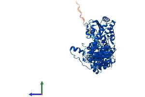 Protein Structure (PS) image for IlvB (Bacterial Acetolactate Synthase)-Like (ILVBL) (AA 1-632) protein (His tag) (ABIN7548499)