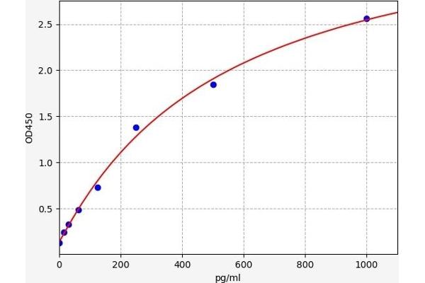 INSL5 ELISA Kit