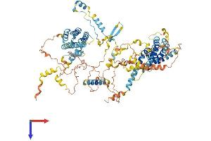 Coiled-Coil Domain Containing 87 (CCDC87) (AA 1-849) protein (His tag)