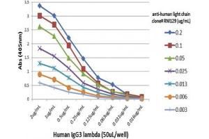 Recombinant Human Ig Light Chains antibody used to detect the lambda chain of hIgG3. (Recombinant Ig Light Chains antibody)