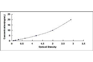 Typical standard curve (Estrogen Receptor alpha ELISA Kit)