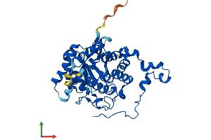 AlphaFold protein structure predicition of Mouse Recombinant Bhmt2 Protein, UniprotID Q91WS4 (BHMT2 Protein (AA 1-363) (His tag))