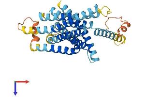 AlphaFold protein structure predicition of Mouse Recombinant Tas2r119 Protein, UniprotID Q9JKT2 (TAS2R119 Protein (AA 1-335) (His tag))