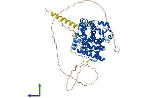 AlphaFold protein structure predicition of Human Recombinant RORC Protein, UniprotID P51449 (RORC Protein (AA 1-518) (His tag))