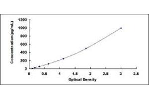 Typical standard curve (FNDC5 ELISA Kit)