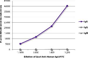 FLISA plate was coated with purified human IgA, IgG, and IgM. (Goat anti-Human IgA (Heavy Chain) Antibody (FITC))